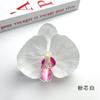 Flores de Orquídea Phalaenopsis Simuladas Pasador DIY Accesorio para el Cabello Flores Falsas Pasador DIY Accesorios para Ropa Decoración de Mesa de Postres