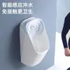 Urinal Doméstico com Sensor Automático, Urinal Masculino Adulto de Chão, Urinal Cerâmico de Parede, Urinal Infantil