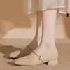 Zapatos Mary Jane tipo cheongsam de cuero suave estilo francés para mujer, nuevo modelo otoño 2026, punta cuadrada, tacón grueso, nuevos zapatos de noche estilo hada china