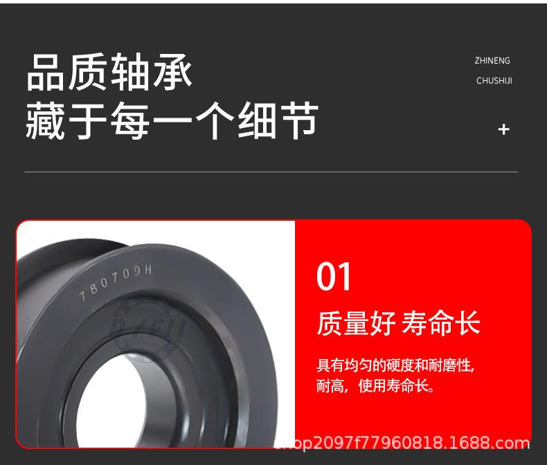 张东平-叉车轴承_07.jpg