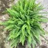 Plantas para paisajismo en tanques de selva tropical, plantas para tanques de agua y tierra, helechos cola de lobo, plantas pequeñas de cola de seda de flores de agua fría, cálamo