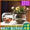 Jarrón de cristal redondo de vientre grande estilo ins, jarrón de flores hidropónico simple y creativo, decoración para arreglos florales de sala de estar, artesanías