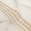 Perlas de Algodón Más Vendidas de Japón, Cuentas de Concha Natural, Cuentas Plegadas Esmeriladas Electroplateadas, Accesorios de Cuentas Sueltas para Joyería Hecha a Mano
