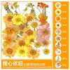 Paquete de Materiales DIY de Flores Secas Flores Prensadas Hechas a Mano Flores Conservadas Marcadores de Libros de Flores Prensadas Hojas de Árbol Real Plantas Pegatinas de Resina Maquillaje Facial
