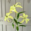 Flores Artificiais de Agapanto e Lírios-de-Fogo para Arranjos de Casamento, Decoração de Casa, Adereços de Fotografia e Decorações de Flores Artificiais