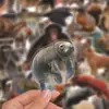 50 Adesivos de Grafite de Animais da Natureza Realistas Transfronteiriços para Decorar Malas, Skateboards, Capacetes, Diários e Adesivos de Pets