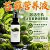 Solución Nutritiva Especial para Musgo Plantas de Interior en Maceta Floración Siembra de Flores Semillas de Flores Plantas Verdes Cultivo en Tierra Hidropónica Fertilizante Universal