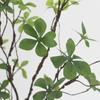 Simulado Planta Espumando Ramos Japonês Sino Folha Cavalo Bêbado Madeira Vaso Begônia Folha Interior Internet Celebridade Decoração de Casa