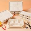 Caja de almuerzo desechable degradable cuadrada de almidón de maíz caja para ensalada dos tres cuatro cinco caja para llevar