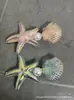 Pinza para el pelo de perla Lingda Clip de concha Dibujo animado Estrella de mar Pasador Accesorio para el pelo Pin de pico de pato Exportación transfronteriza Lingda