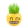 Expresión de Cara Sonriente Planta en Maceta DIY, Manualidades de Muñeco de Hierba, Decoraciones de Micropaisaje, Plantas en Maceta, Flores, Fácil de Vivir y Fácil de Mantener