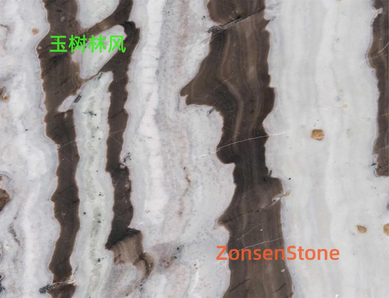 177211539494427225256_详情图.jpg
