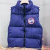 Chaqueta de Algodón con Plumas de Ganso de Gama Alta para Hombres y Mujeres, Parka para Exteriores con Capucha, Engrosada, Cálida, Cortavientos, Abrigo con Cuello de Piel
