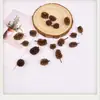 Pendientes de Planta Fruta Bellota Hechos a Mano DIY Fruta Pendientes Personalizados Creativos Material Chica Linda Pendientes Retro
