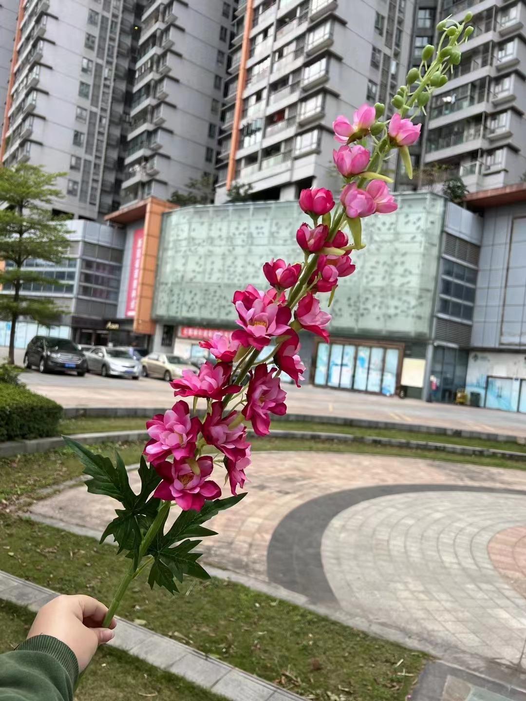 微信图片_20230324192324.jpg