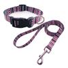 Fabricante Directo Set de Collar y Correa para Perros y Gatos Pequeños y Medianos, Collar para Perro, Collar para Gato