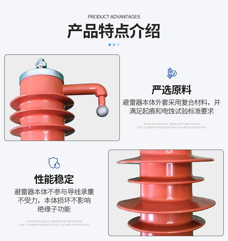 YH10CX-13-36避雷器_06.jpg