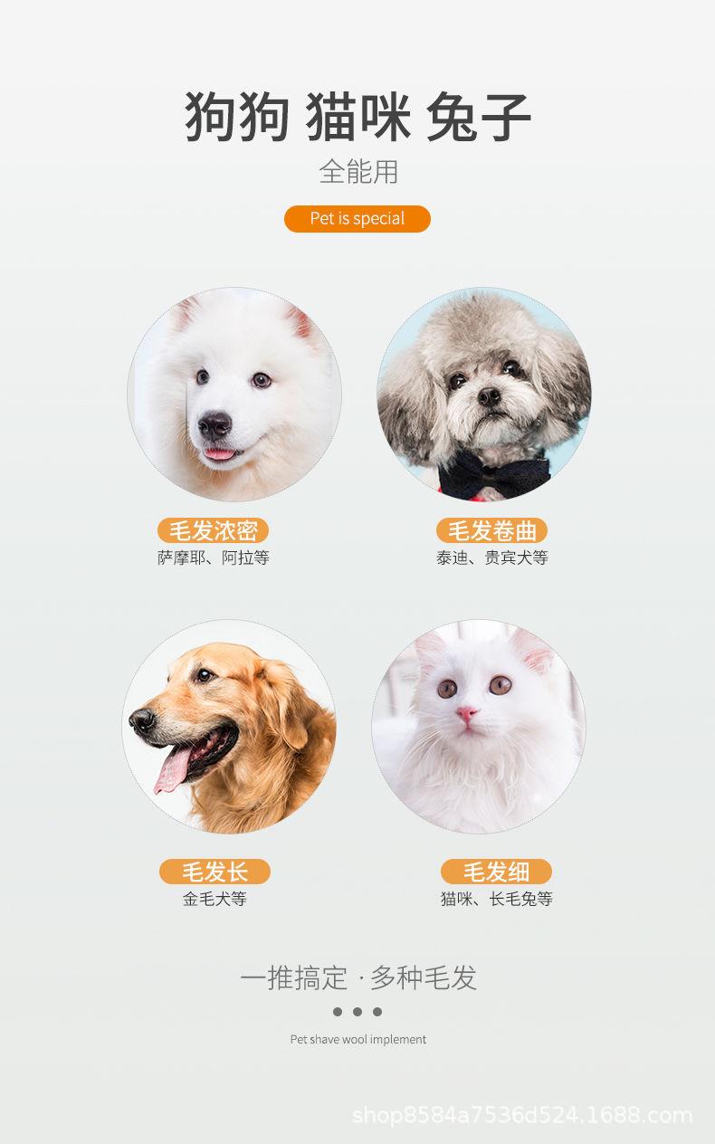 1668b824001adf5533f4aa42e763fc