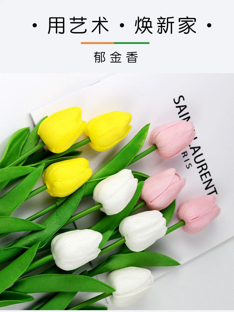郁金香_01.jpg