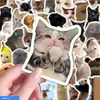 300 Peças de Adesivos de Memes de Gato, Fofo e Engraçado Gato Fantasma Estilo Ins Pacote de Expressões Adesivo de Material Fonte do Adesivo