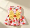 Vestido Princesa Floral para Cachorro Pequeno, Roupa Primavera Verão para Gatos, Teddy e Bichon Frise, Vestido Fofo para Cachorro de Estimação, Estilo Fino de Verão