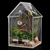 Terrário de acrílico para répteis, caixa ecológica respirável e altamente transparente, terrário para insetos com portas de alimentação para louva-a-deus e caracóis.