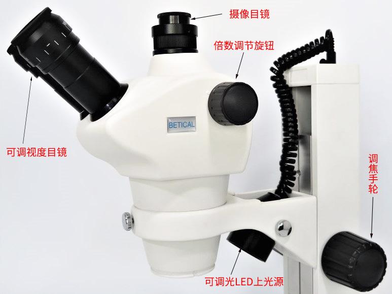 XTL-8050T