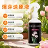 Acelerador Líquido de Brotes, Promotor de Múltiples Brotes, Estimulador de Plántulas, Solución Nutritiva para Plantas de Hojas y Flores para Suculentas y Plantas Verdes