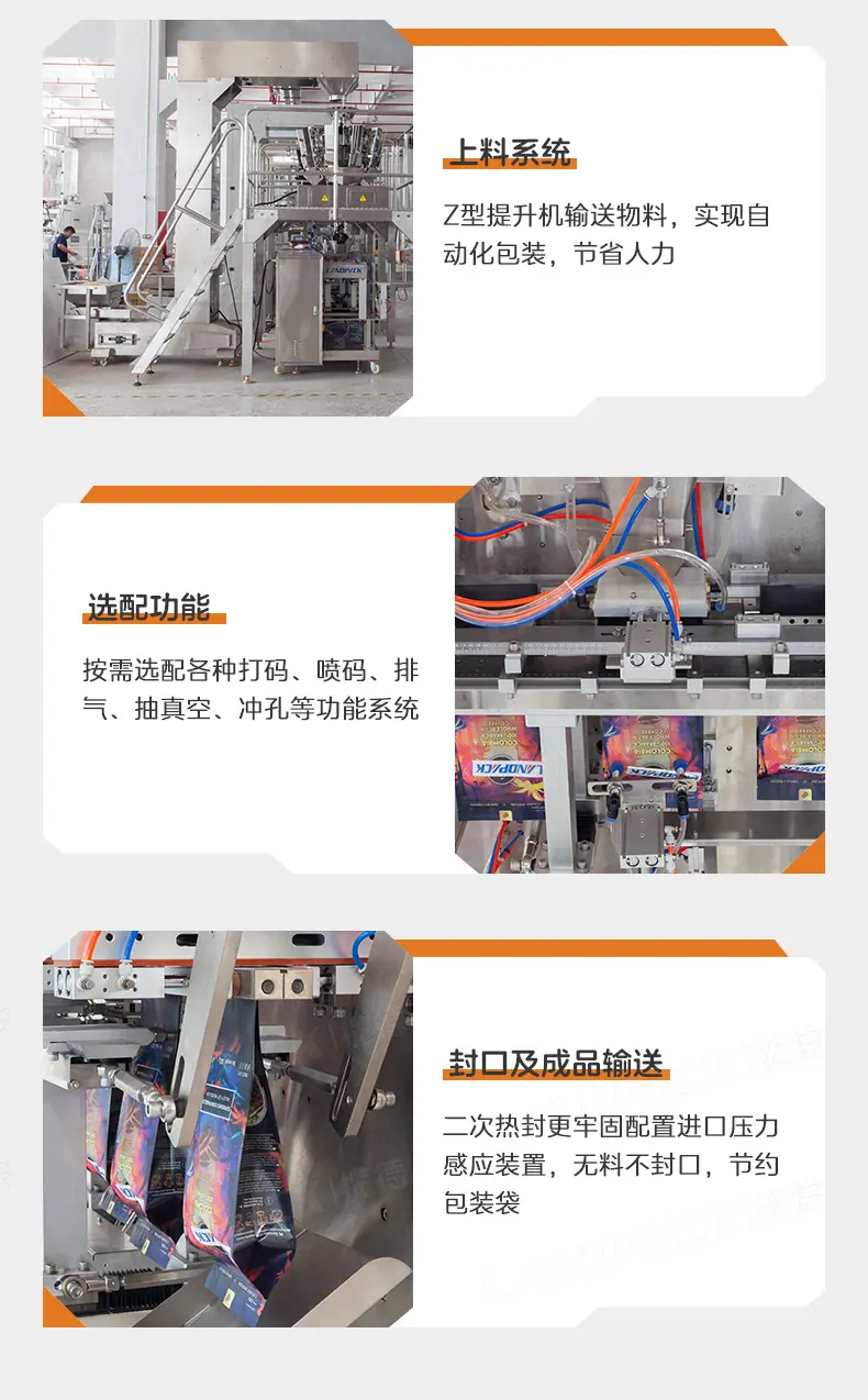 LDSP-210A水平给袋机+10头组合称+Z型提升机+M袋