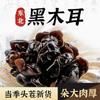 Hongos negros del noreste productos secos oreja de nube productos genuinos tienda insignia oficial pequeño cuenco de tilo especialidad de oreja hongo de otoño hongo de otoño