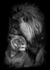 Pintura en Lienzo con Citas Inspiradoras de Tigre Blanco y Negro Lobo Póster Arte de Pared Sala de Estar Pintura Decorativa Moderna