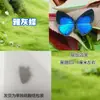 Especímenes de Mariposas Reales para Práctica, Mariposas Originales con Alas Sin Abrir, Materiales DIY para Espécimenes de Insectos, Mariposas Monarca, Insectos Originales, Mariposas Cola de Golondrina