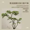 Planta Verde Simulación Árbol de Arce Árbol Falso Paisaje Arce Japonés Patio de Villa Sala de Té Escaparate Decoración de Planta Adorno