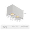 Downlight LED transfronterizo de montaje superficial sin agujeros fuente de luz no principal cuadrado de doble cabezal COB pasillo pasillo techo foco
