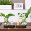Gatito pescando, panda, rana, gato siamés, planta pothos, jarrón hidropónico, adorno de escritorio, decoración de escritorio de oficina