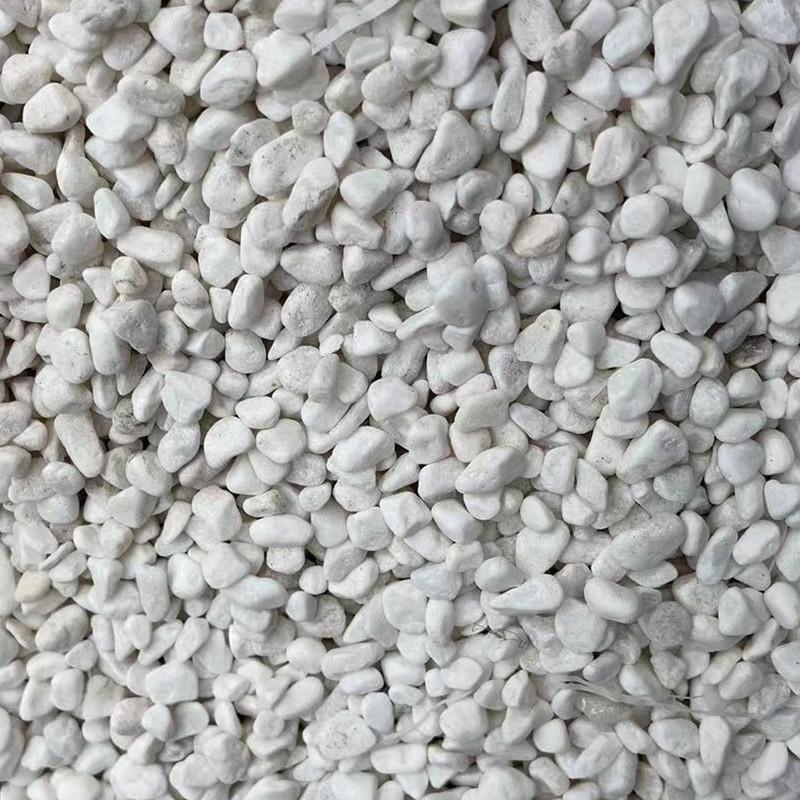 微信图片_20220525204702_副本