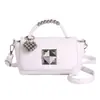 Bolso de Hombro de Lujo de Nicho 2026 Nuevo Bolso Cruzado de Moda para Mujer Versátil Bolso Cuadrado Pequeño Bolso de Mano Pequeño de Alta Calidad