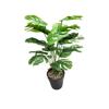 Simulação de Planta de Folha de Tartaruga Real Decoração de Folha Verde Decoração de Casa Simulação de Tartaruga Bambu Vaso de Flores Vaso de Plantas Paisagem