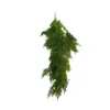 Simulação Planta Verde Parede Pendurada Orquídea Pendurada Planta Verde Samambaia Parede Tubo Teto Decoração Folha de Samambaia Rattan