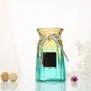 Vaso Ornaments Europeus Nórdicos Sala de Estar Vidro Transparente Minimalista Cultura da Água Arranjo de Flores Recipiente para Flores Secas Hidropônicas Decoração com Flores Frescas