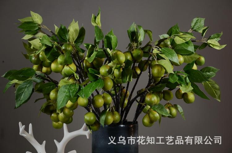 3-2绿色欧罗梨子..JPG