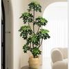 Planta de Simulación Madera Pie de Pato de Pie en Maceta Planta Verde Biónica Adornos Sala de Estar Lado del Sofá Decoración del Hogar Bonsái Árbol Falso