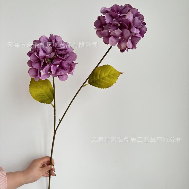 微信图片_202303211636146_副本