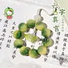 Pulsera de Bodhi Auspicioso de Caqui, Cadena para Teléfono con Grabado del Mantra de Seis Palabras, Correa de Muñeca Unisex, Cordón Anti-Pérdida, Colgante, Venta al por Mayor