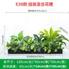 Serie E Maceta Decorativa de Flores Artificiales Verdes Decoración de Caja de Flores Canaleta de Flores para Exteriores Planta Simulada Combinación de Tira Larga Decoración de Valla