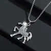 Estilo Novo Europeu e Americano Fonte Transfronteiriça Lindo Temperamento Versátil Personalidade Hip Hop Zodíaco Cavalo Colar Pingente Masculino