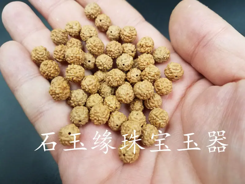 20180909_132344.jpg