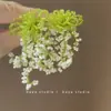 Brincos de Franja Flor de Fada Super Design de Nicho Moda Simples Exquisitos Doces Estilosos Versáteis Estilo de Férias Brincos