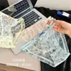Bragas de Encaje de Malla Frescas y Dulces Estilo Japonés para Mujer, Transparentes de Tiro Bajo Sexy Algodón Puro en la Entrepierna Calzones para Chica Joven