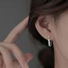 Pendientes de Plumas de Diseño de Nicho para Mujer Estilo Frío Modernos Distintivos Lujo Ligero Versátiles Pendientes de Gama Alta Nuevo Estilo 2023